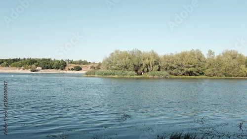 Calm river under a clear blue sky, with lush green trees and reeds along the riverbank. For environmental conservation campaigns, travel promotional videos, or peaceful background visuals.