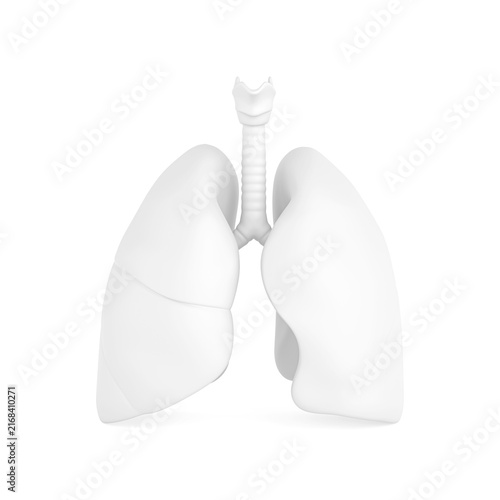 Respiratory Health, Human Anatomy, Pulmonology And Medical Education Concept. White Human Lungs With Trachea On White Background. 3D Rendering