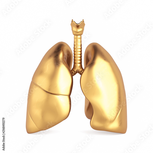 Foto Luxury Healthcare, Respiratory Anatomy, Wellness And Medical Symbolism Concept