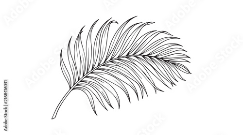 Принти на полотні Minimalist palm leaf line art, tropical botanical vector illustration, black and