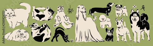 Cats, kittens, Dogs, puppies set. Cute funny characters. Various breeds, positions. Lying, sitting, standing domestic animals. Hand drawn trendy Vector illustration. Isolated design elements