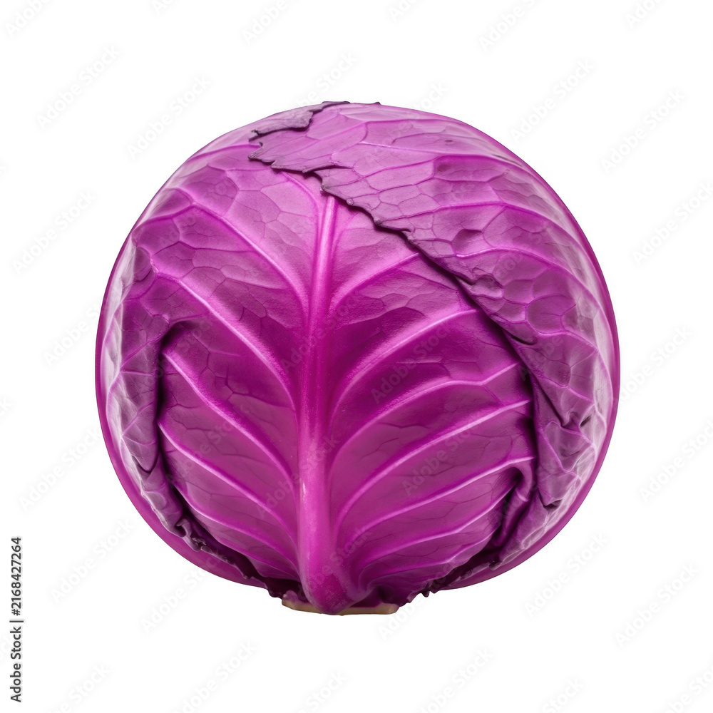 Fototapeta premium Fresh purple cabbage head with tightly packed leaves