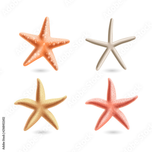 Vibrant starfish collection on transparent background for design