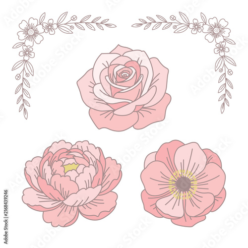 Flower Illustration For Wedding