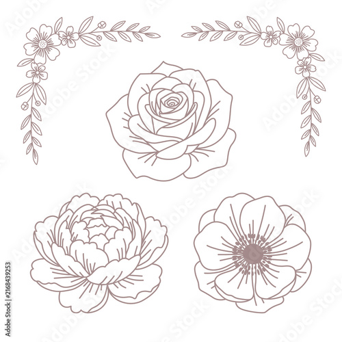 Flower Illustration For Wedding