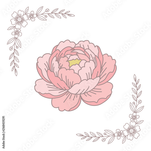 Flower Illustration For Wedding