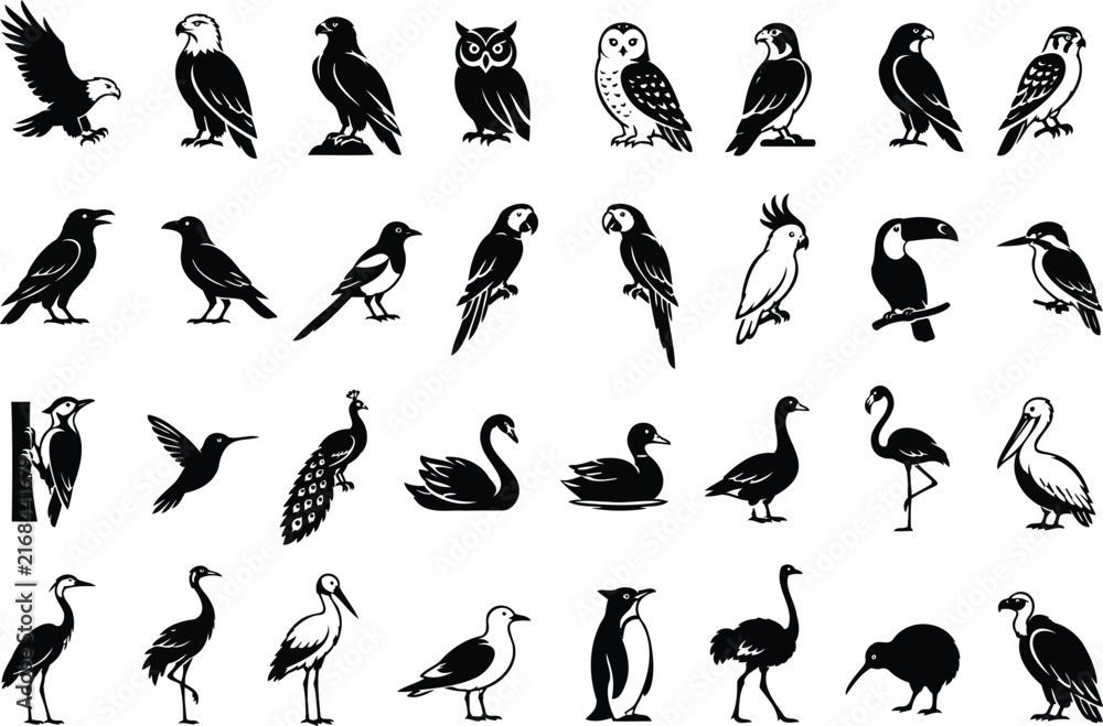 Naklejka premium Bird Silhouette Collection. Vector Silhouette Animal Set. Black Bird Outline Icons With White Background. Eagle Owl Parrot Heron Woodpecker Swan Duck Penguin. Illustration Elements For Design