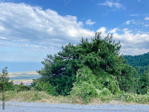 Canvastavla Admiring the roadside landscapes from the car window while climbing Mount Olympus