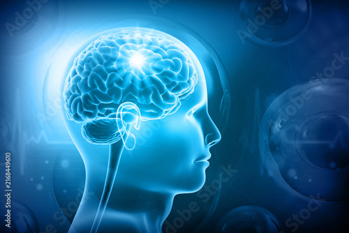Three-dimensional illustration of human brain and head anatomy positioned against a glowing scientific blue abstract background.