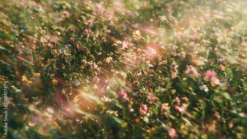 Dreamy motion blur background of a blooming wildflower meadow bathed in warm golden sunlight with lens flare.