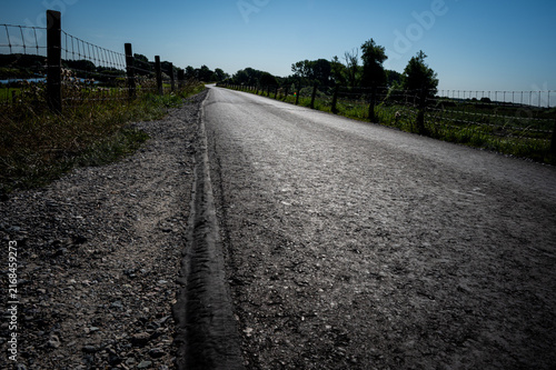 A lonely road leads through the landscape, accompanied by fences and trees, dike landscape on the Hunte in summer in 27798 Hude, Germany