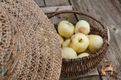 White apples in a basket and a hat on the top. Garden setting. Blurred view on the background. Old wooden floor background. Home garden fruits, autumnal harvesting, realistic vintage countryside scene