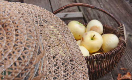 White apples in a basket and a hat on the top. Garden setting. Blurred view on the background. Old wooden floor background. Home garden fruits, autumnal harvesting, realistic vintage countryside scene