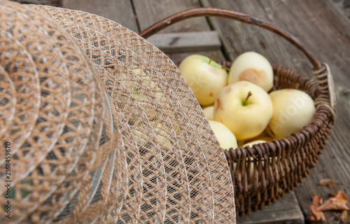 Apples in a basket and a hat on the top. Garden setting. Blurred view on the background. Old wooden floor background. Home garden fruits, autumnal harvesting, realistic vintage countryside scene