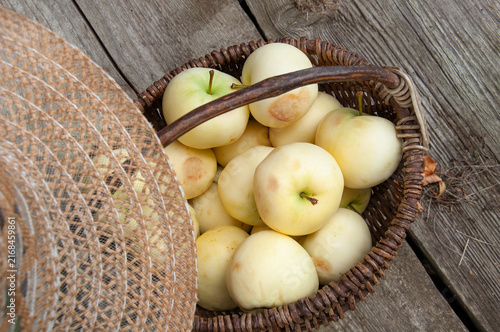 Apples in a basket and a hat on the top. Garden setting. Blurred view on the foreground. Old wooden floor background. Home garden fruits, autumnal harvesting, realistic vintage countryside scene