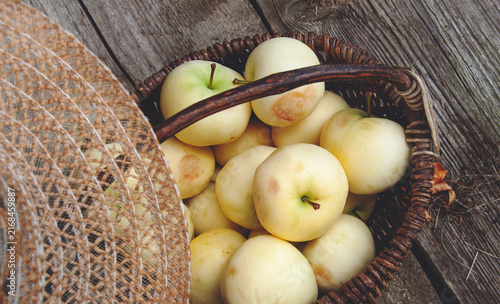 White apples in a basket and a hat on the top. Garden setting. Blurred view on the foreground. Old wooden floor background. Home garden fruits, autumnal harvesting, realistic vintage countryside scene