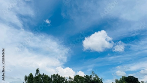 Foto Low Angle View of Fluffy White Clouds in Vibrant Blue Sky Above Tree Tops