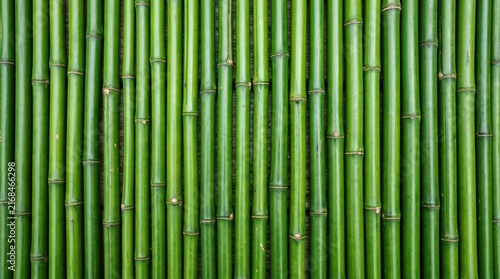 Green Bamboo Wall Perfect for Natural and Eco-Friendly Design Projects