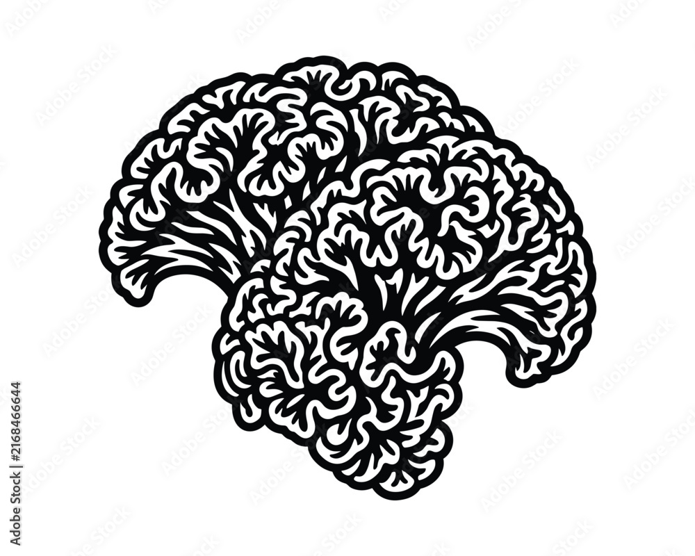 Fototapeta premium Cockscomb flower head icon, abstract organic black white graphic