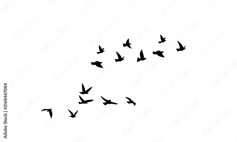 Obraz premium A flock of birds in silhouette flies across a plain white background, forming a dynamic V-shaped formation against the empty sky.