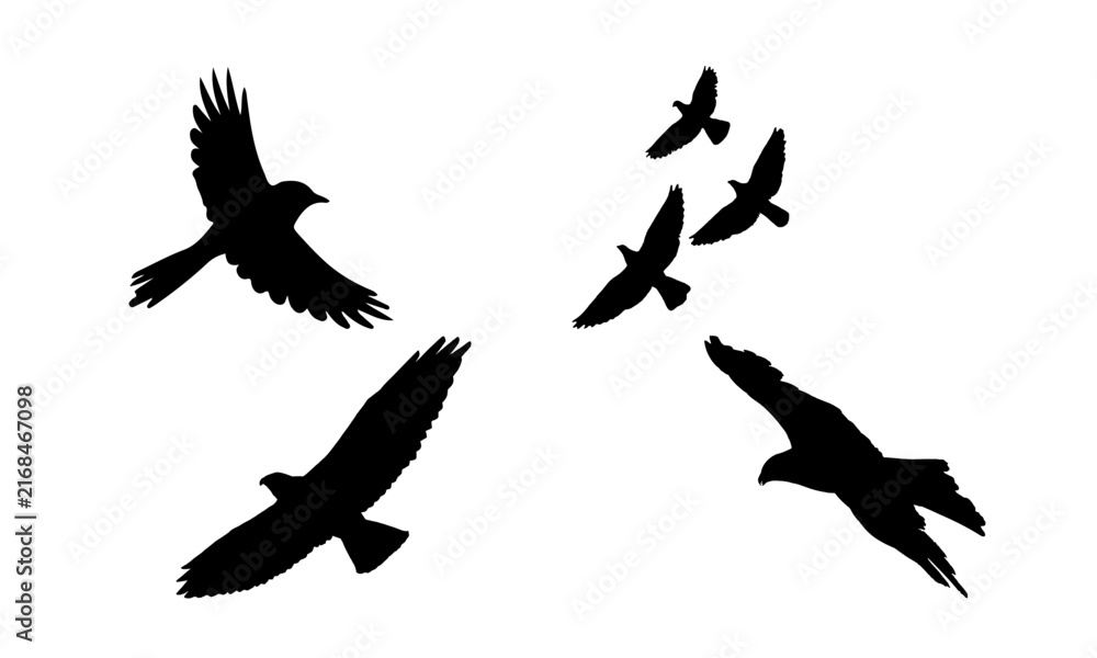 Fototapeta premium Several silhouetted birds of prey in dynamic flight poses, illustrating power, hunting instincts, and the wild nature of raptors.