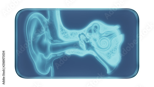 Konstfotografi Glass Frame with X-Ray Human Ears Medical Illustration