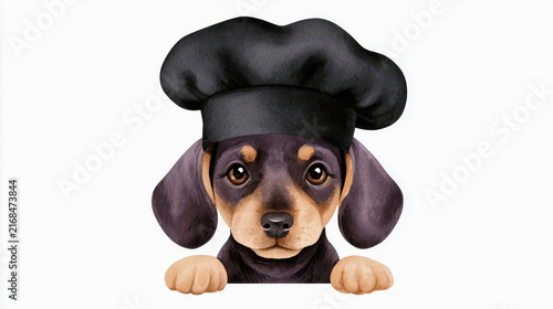 Adorable dachshund puppy wearing black chef hat with curious expression, hand drawn watercolor style illustration for cooking theme
