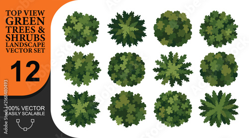 Top view green trees and shrubs set featuring twelve varied plant species for landscape design and architectural site plan visualization in professional works.