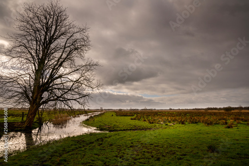 De Onlanden in the province of Groningen. The nature reserve is located close to the city of Groningen. There you will find rugged hay meadows, swamp forest, and space for excess water. 