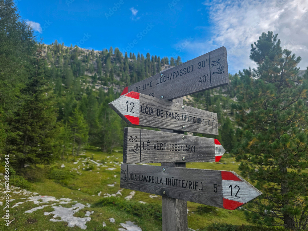Fototapeta premium Fanes Dolomites valley Wooden trail signpost pointing directions along a mountain hiking path surrounded by alpine forest, rocky meadow and distant ridgeline under a bright blue sky