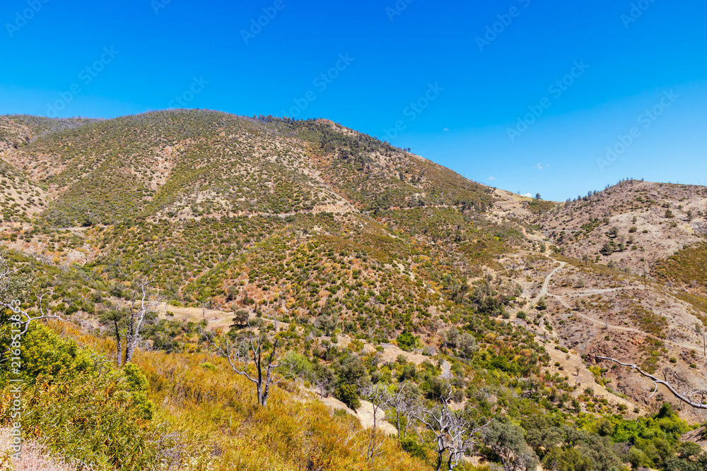 Obraz premium Winding dirt road up dry chaparral hills in Sierra Nevada foothills California