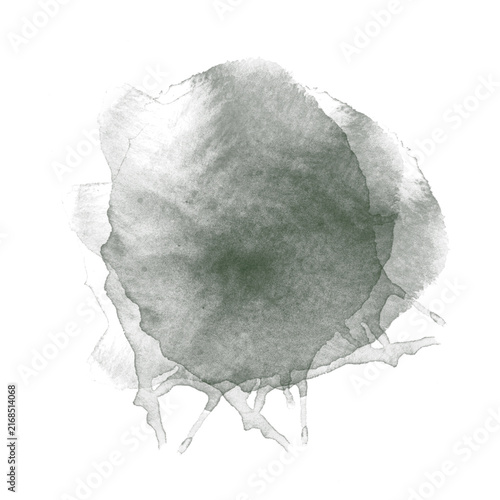 Hand-drawn watercolor dandelion seed head with delicate flying seeds on white background