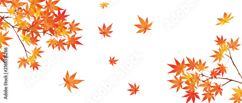 autumn leaves background-Stylish vector frame with beautiful red autumn leaves on a white background