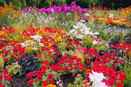 Bright mixed flower garden with vivid blooms