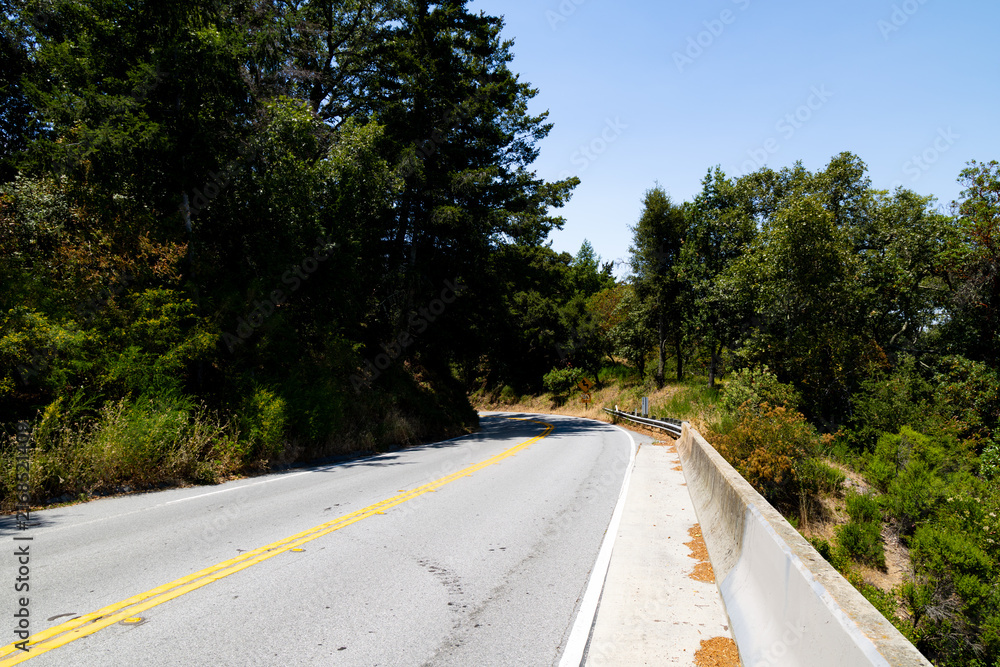 Obraz premium Winding asphalt road with double yellow lines through forest, California USA.