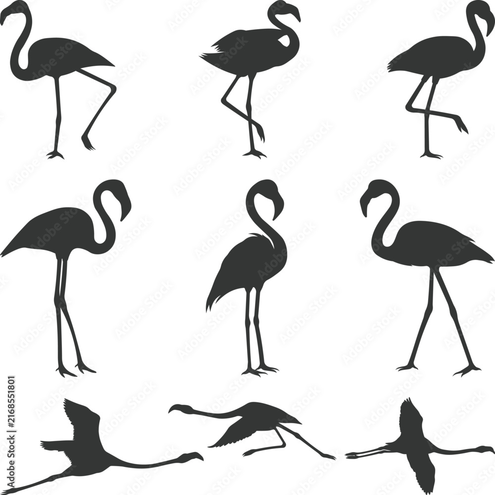 Naklejka premium Flamingo Silhouette Elements Set, flamingo birds svg, large pack of vector silhouette design, flying birds isolated white background