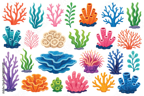 Colorful Ocean Coral Reef Vector Illustration