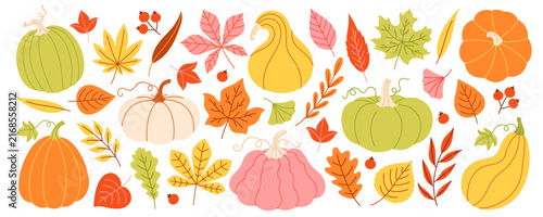 Autumn pumpkin and leaves collection. Colorful fall gourds, maple, oak and botanical foliage. Seasonal vector illustration for harvest and Thanksgiving designs