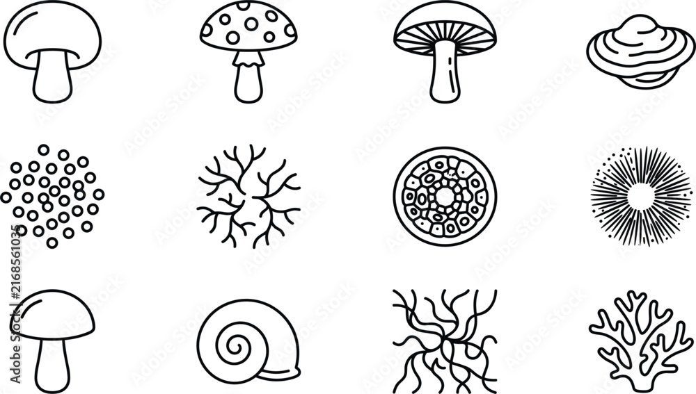 Obraz premium Mushroom varieties and mycology elements outline icons set featuring fungi species spores mycelium cells and forest biology