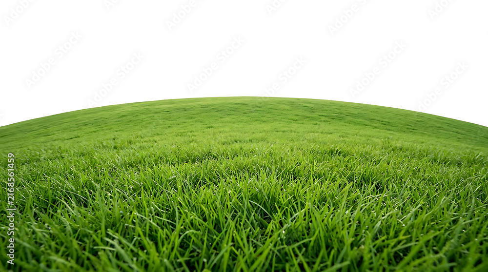 Obraz premium Panoramic green grass hill with curved horizon isolated on white background