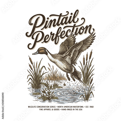 Vintage Flying Pintail Duck Waterfowl Illustration Featuring Pintail Perfection Typography Suitable for hunting T-shirt design, outdoor apparel, sticker, and duck hunting club logo
