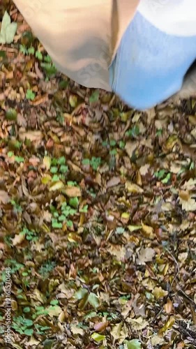 Close up walking over autumn leaves
