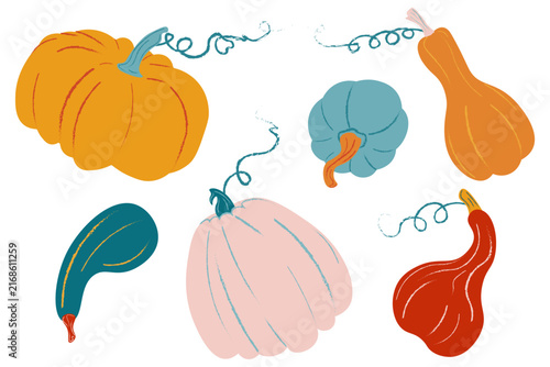 Set of colorful hand drawn autumn pumpkins and gourds in pink, orange, red and blue with curly tendrils. Ideal for fall harvest clip art, Thanksgiving greeting cards and seasonal design.