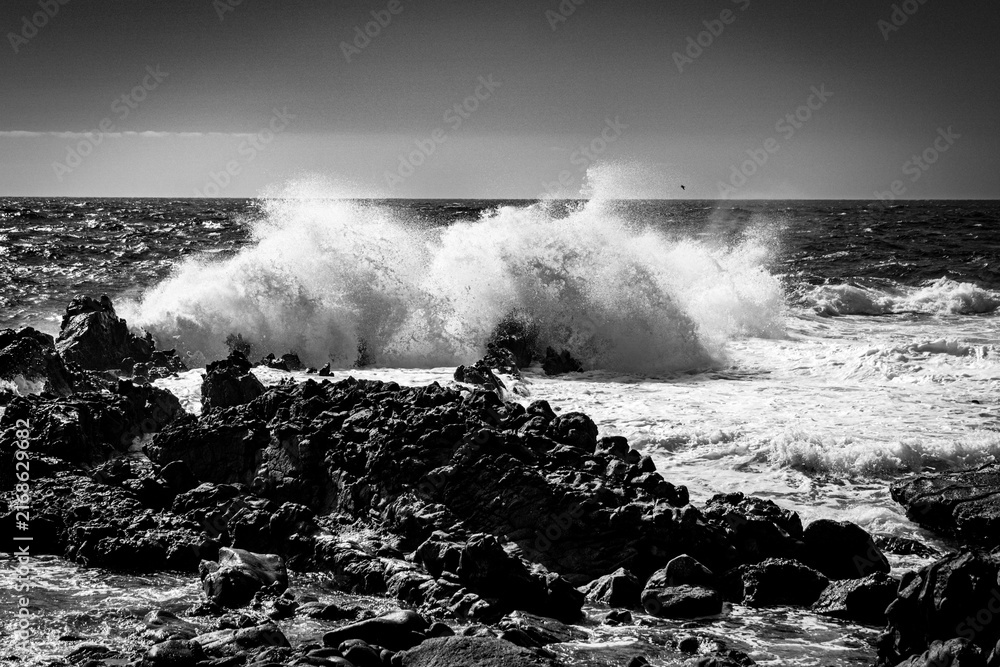 Fototapeta premium Black and white wave crashing over a rocky shore