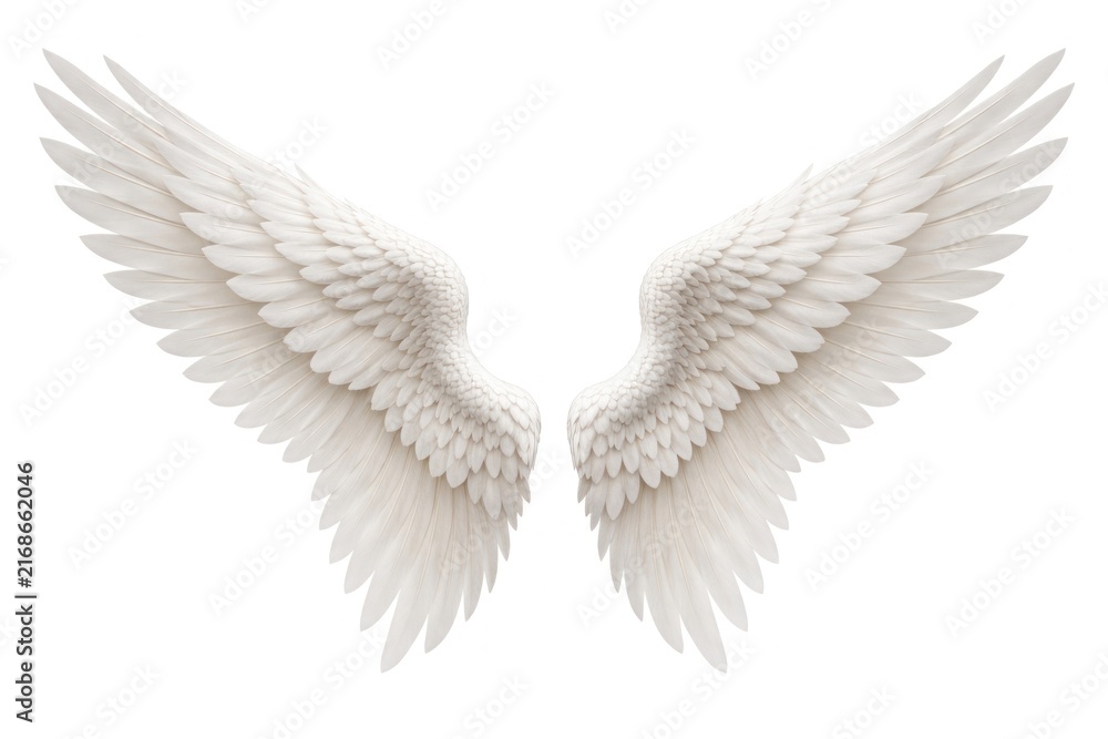 Naklejka premium Elegant white angel wings illustration.