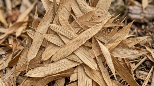 Dry Bamboo Leaves on Forest Floor: A close-up of a pile of dry, brown bamboo leaves scattered across the textured surface of a forest floor.