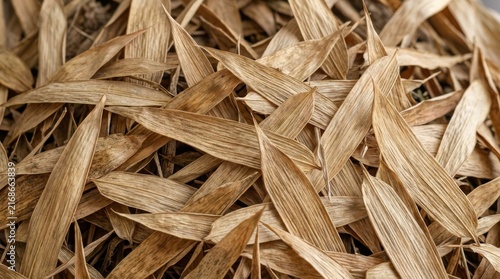 Dry Bamboo Leaf Pile: A close-up view of a pile of dry, brittle bamboo leaves, showcasing their intricate texture and natural, earthy tones.