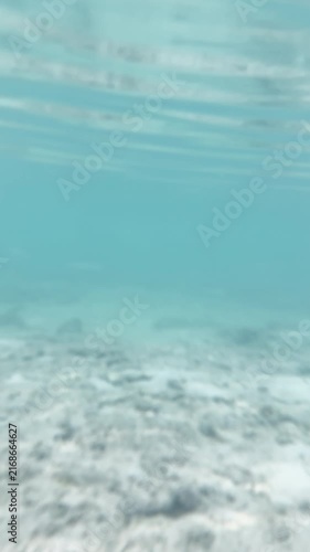 Vertical underwater view with rippled water surface lines over rocky seabed, 4K