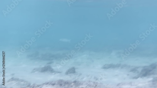 Horizontal underwater scene with fish swimming over rocky reef in clear blue water, 4K