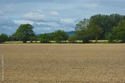 View of nature from the road, Czech Republic
